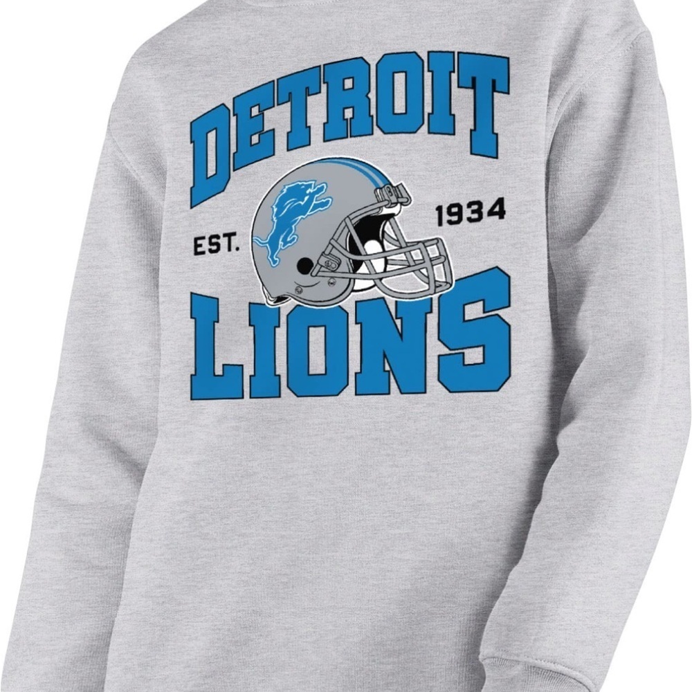 Junk Food Detroit Lions Grey NFL Kids Sweatshirt Small/0184